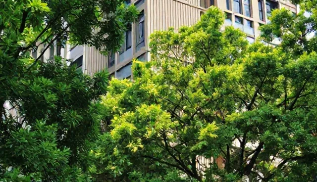网站维护服务套餐如何选择,适用条件决定选型方向